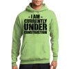Core Fleece Pullover Hooded Sweatshirt Thumbnail
